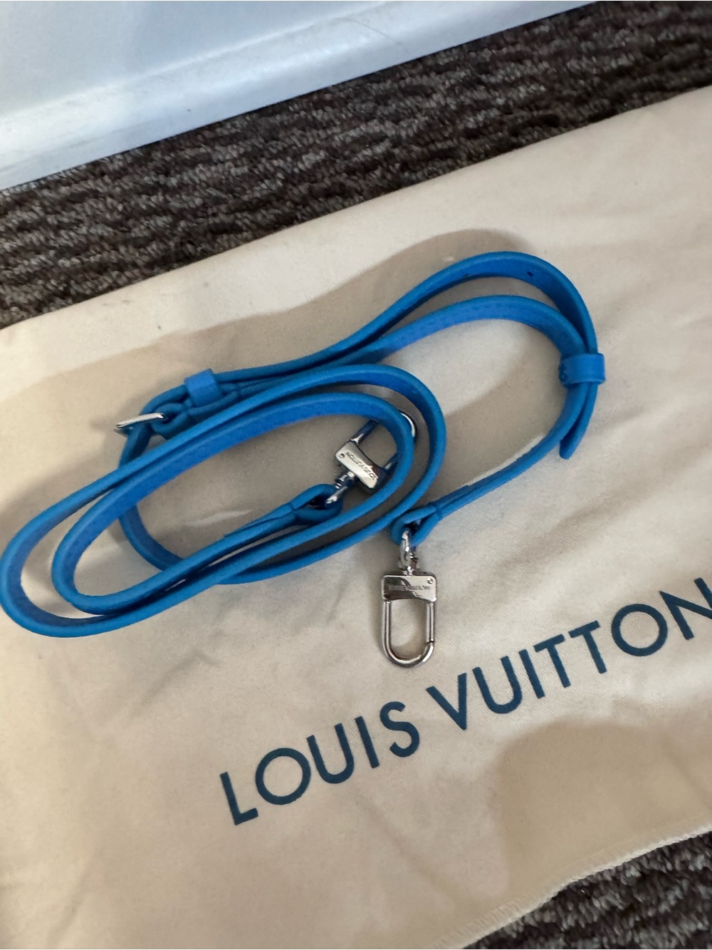 Louis Vuitton Blue and White Polka Dot Tote - Picture 5 of 7